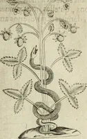An illustration from Devises heroiques et emblemes (1622)