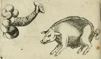 An illustration from Devises heroiques et emblemes (1622)