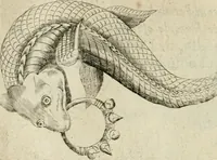 Picture 57 of 200 from Devises heroiques et emblemes (1622), leaf 119