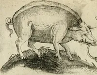 Picture 62 of 200 from Devises heroiques et emblemes (1622), leaf 125