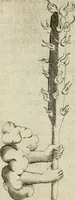 An illustration from Devises heroiques et emblemes (1622)