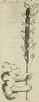 An illustration from Devises heroiques et emblemes (1622)