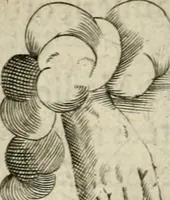 An illustration from Devises heroiques et emblemes (1622)
