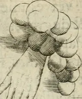 An illustration from Devises heroiques et emblemes (1622)