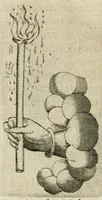 An illustration from Devises heroiques et emblemes (1622)