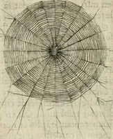 An illustration from Devises heroiques et emblemes (1622)