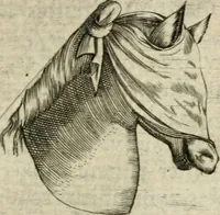 An illustration from Devises heroiques et emblemes (1622)