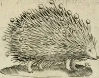 An illustration from Devises heroiques et emblemes (1622)