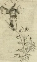 An illustration from Devises heroiques et emblemes (1622)