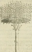 An illustration from Devises heroiques et emblemes (1622)