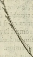 An illustration from Devises heroiques et emblemes (1622)