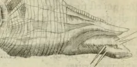 An illustration from Devises heroiques et emblemes (1622)