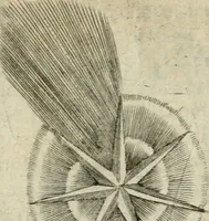Picture 130 of 200 from Devises heroiques et emblemes (1622), leaf 226