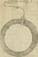 An illustration from Devises heroiques et emblemes (1622)
