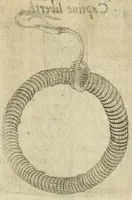 An illustration from Devises heroiques et emblemes (1622)