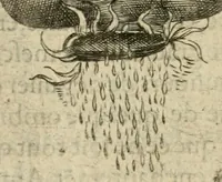 An illustration from Devises heroiques et emblemes (1622)