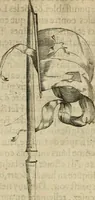 An illustration from Devises heroiques et emblemes (1622)