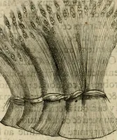 An illustration from Devises heroiques et emblemes (1622)