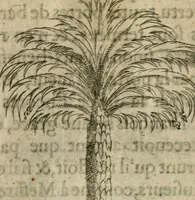 An illustration from Devises heroiques et emblemes (1622)