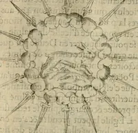 Picture 160 of 200 from Devises heroiques et emblemes (1622), leaf 273