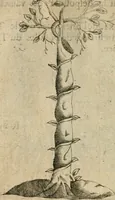 An illustration from Devises heroiques et emblemes (1622)