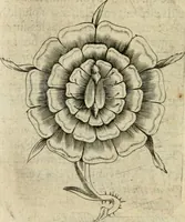 An illustration from Devises heroiques et emblemes (1622)
