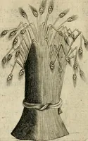 An illustration from Devises heroiques et emblemes (1622)