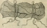 Picture 183 of 200 from Devises heroiques et emblemes (1622), leaf 321