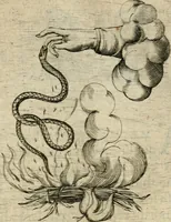 An illustration from Devises heroiques et emblemes (1622)