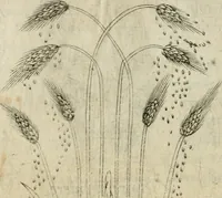 An illustration from Devises heroiques et emblemes (1622)