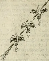 An illustration from Devises heroiques et emblemes (1622)