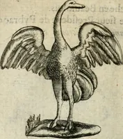 An illustration from Devises heroiques et emblemes (1622)
