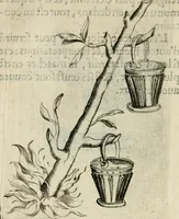 Picture 33 of 200 from Devises heroiques et emblemes (1622), leaf 73