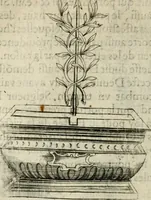 An illustration from Devises heroiques et emblemes (1622)