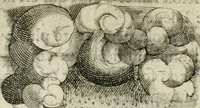 Picture 37 of 200 from Devises heroiques et emblemes (1622), leaf 81