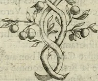 An illustration from Devises heroiques et emblemes (1622)