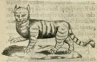 An illustration from Devises heroiques et emblemes (1622)