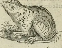 Picture 45 of 200 from Devises heroiques et emblemes (1622), leaf 94