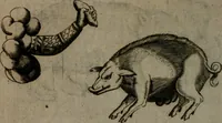 An illustration from Devises heroiques, et emblemes (1614)