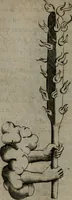 An illustration from Devises heroiques, et emblemes (1614)