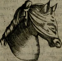 An illustration from Devises heroiques, et emblemes (1614)