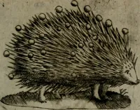An illustration from Devises heroiques, et emblemes (1614)