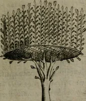 An illustration from Devises heroiques, et emblemes (1614)