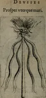 Picture 111 of 172 from Devises heroiques, et emblemes (1614), leaf 219