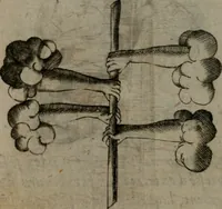 Picture 125 of 172 from Devises heroiques, et emblemes (1614), leaf 239