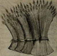 An illustration from Devises heroiques, et emblemes (1614)