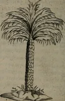 An illustration from Devises heroiques, et emblemes (1614)