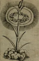 An illustration from Devises heroiques, et emblemes (1614)