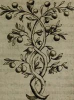 Picture 35 of 172 from Devises heroiques, et emblemes (1614), leaf 76