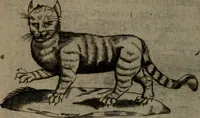 An illustration from Devises heroiques, et emblemes (1614)